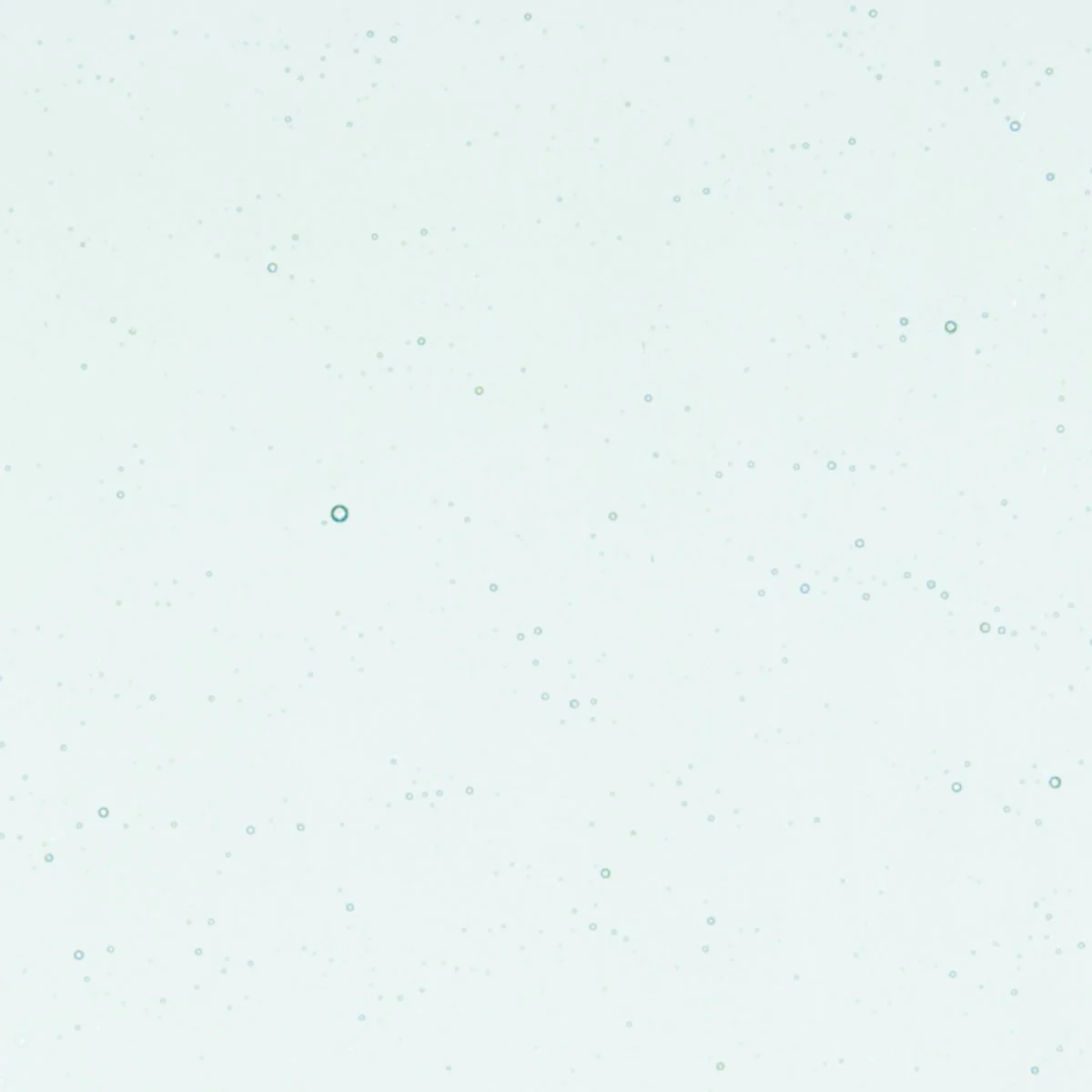 Aqua Blue Tint, Double-rolled, 3 mm, Fusible