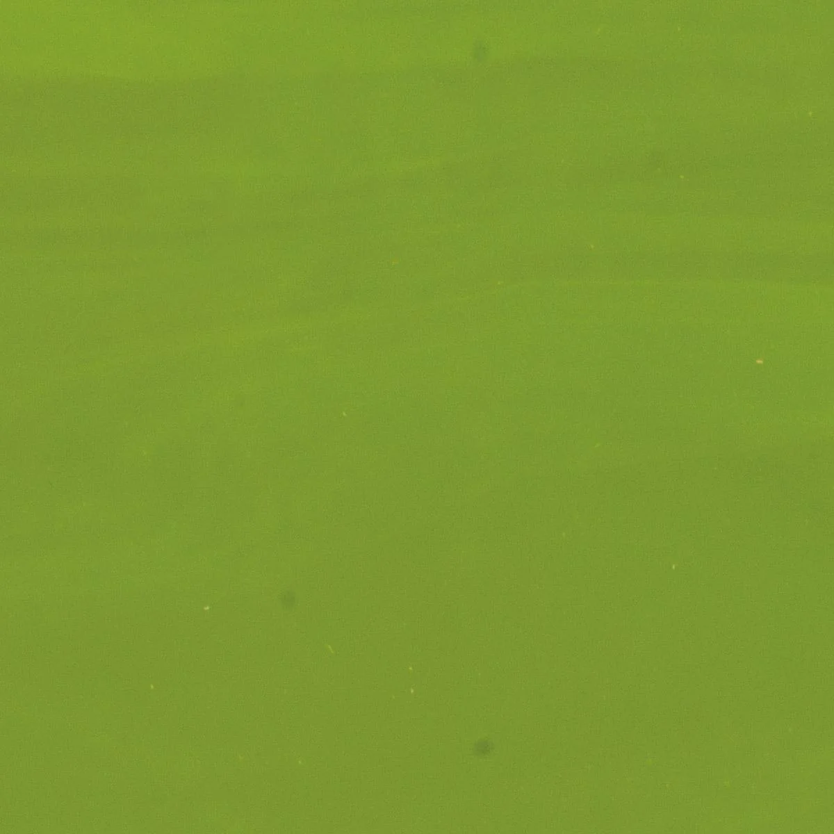 Avocado Green Opalescent, Double-rolled, 3 mm, Color Sample, 2x2 in.