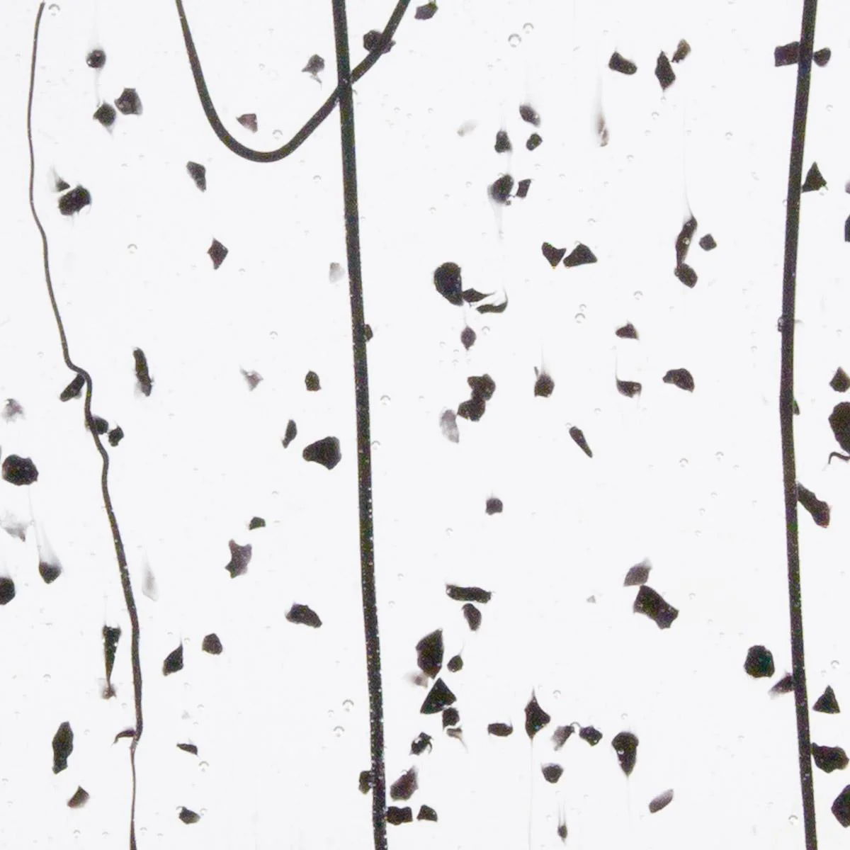 Black Frit, Black Streamers Clear Base Collage, Single-rolled, 3 mm, Fusible