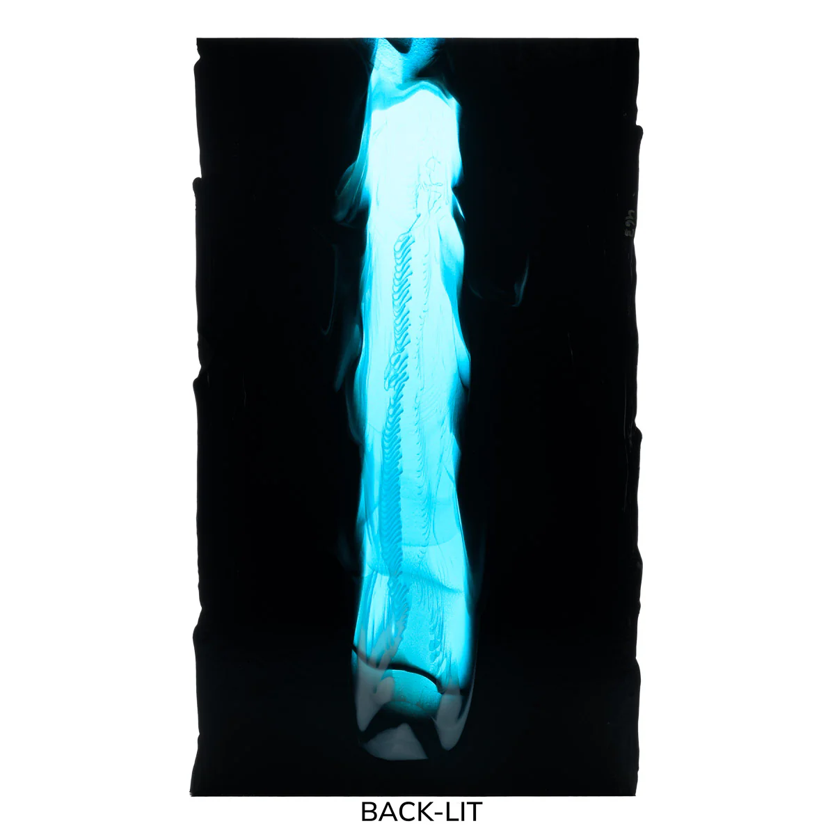 Black Opalescent, White Opalescent, Turquoise Transparent Double Cascade, 3+ Color Mix, Double-rolled, 3mm, Fusible - Image 2