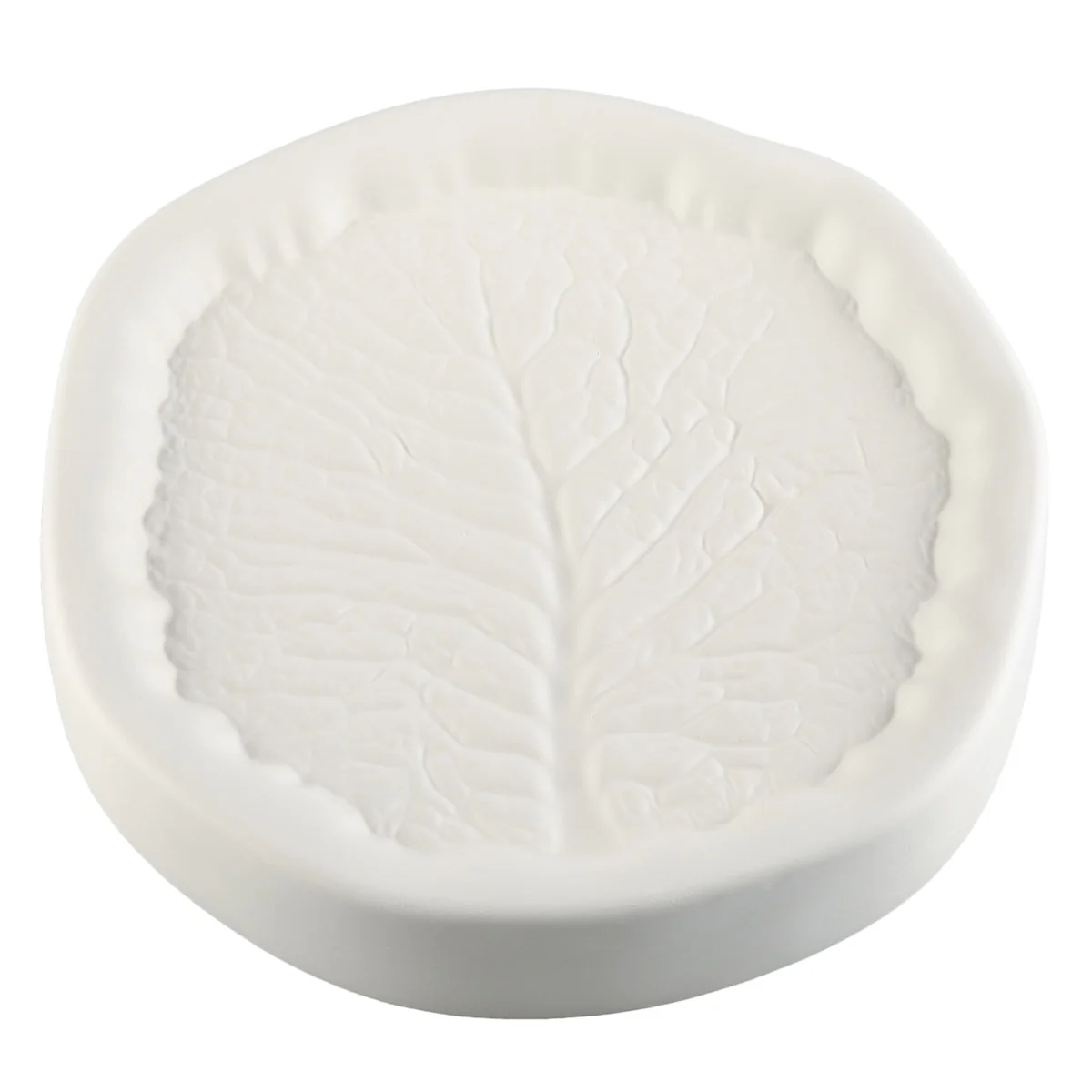 Cabbage Leaf - Image 2