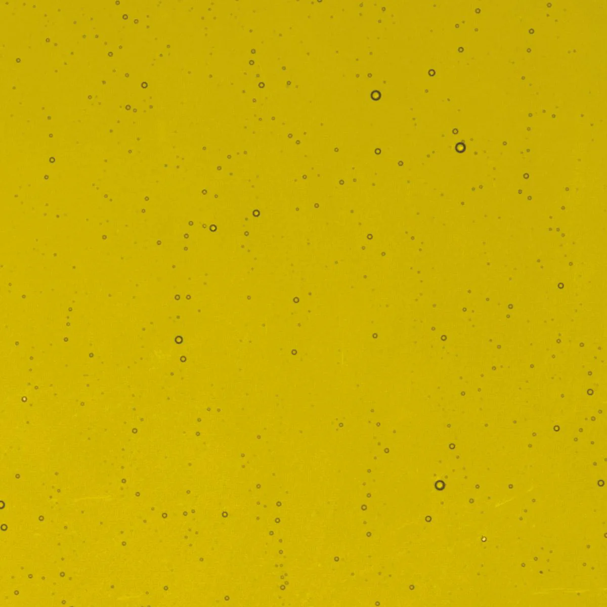 Chartreuse Transparent, Double-rolled, 3 mm, Color Sample, 2x2 in.