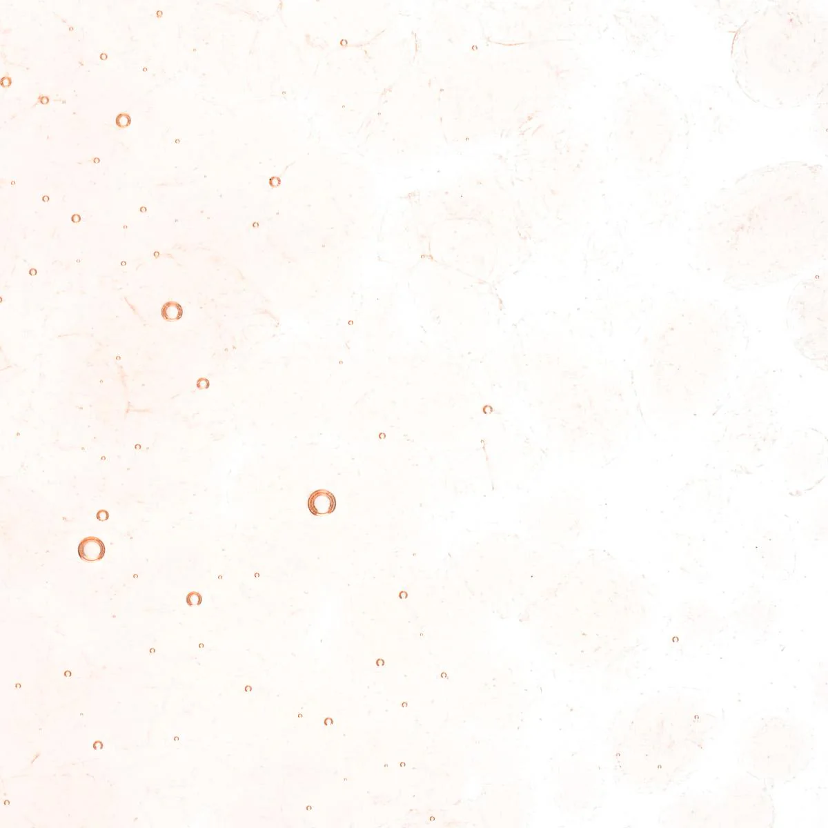 Coral Orange Tint, Coarse Frit, Fusible - Image 2