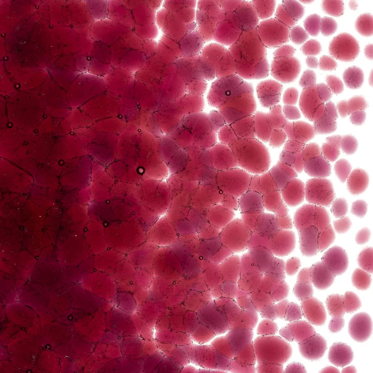 Cranberry Pink Transparent, Coarse Frit, Fusible