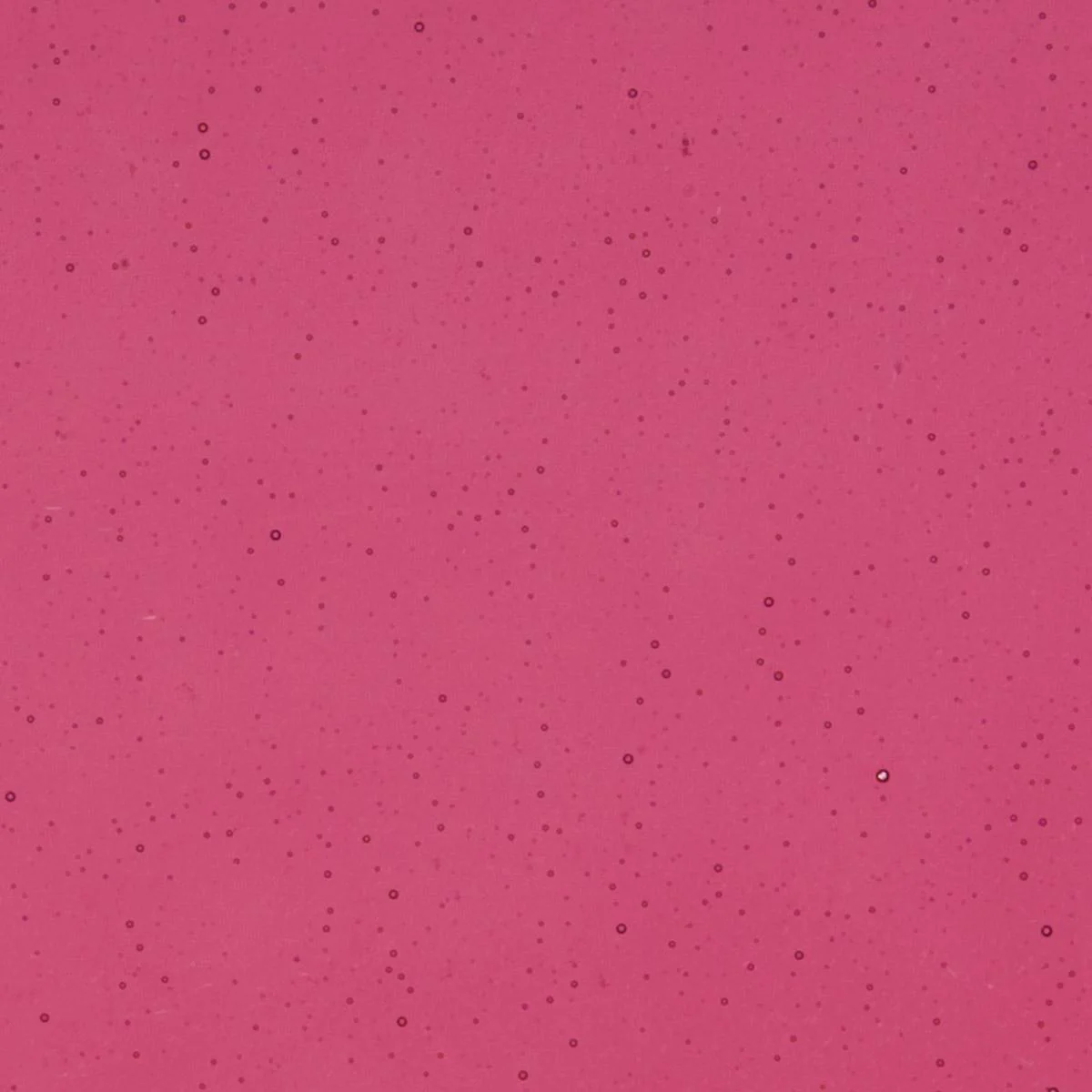 Cranberry Pink Transparent, Thin-rolled, 2 mm, Fusible