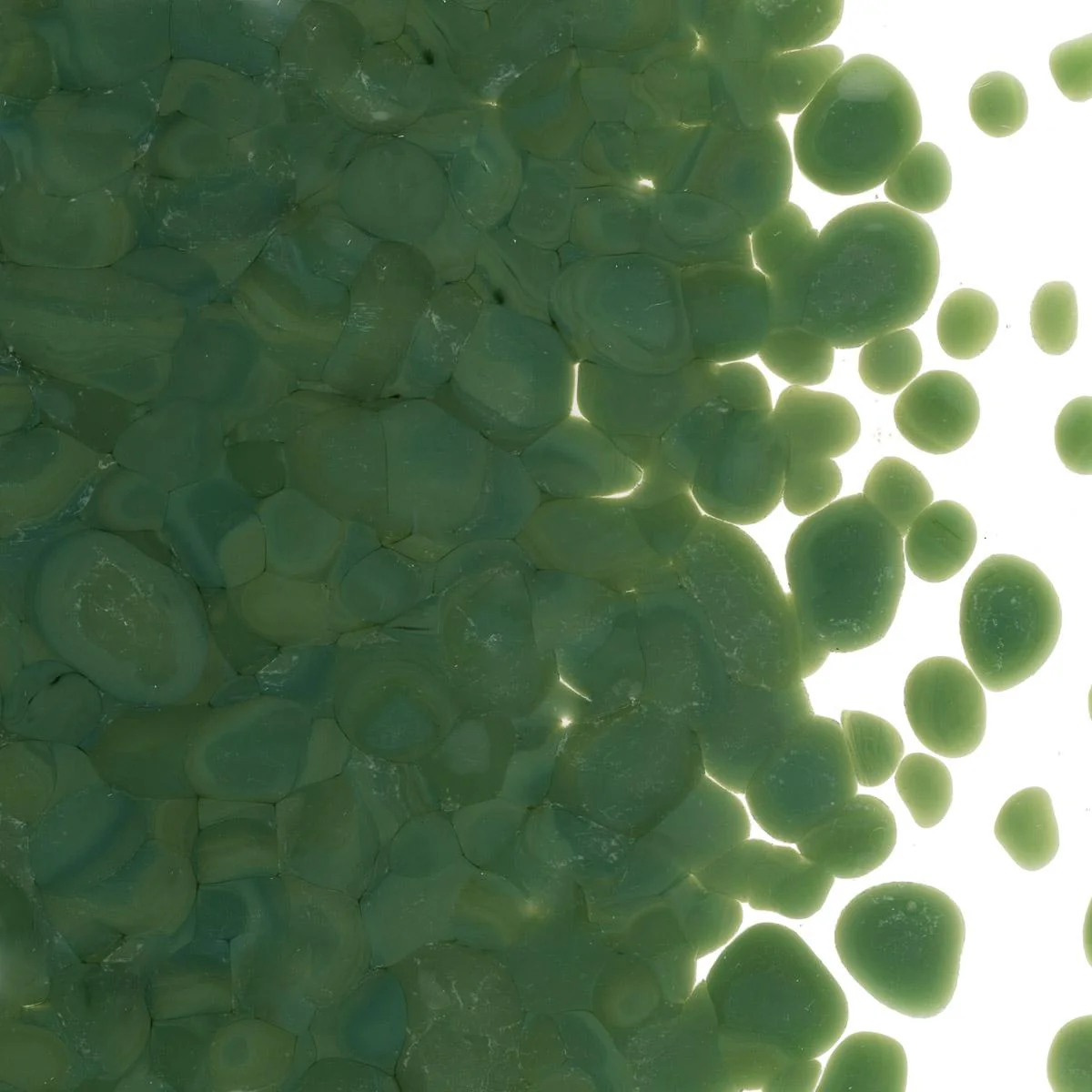 Dark Forest Green Opalescent, Coarse Frit, Fusible