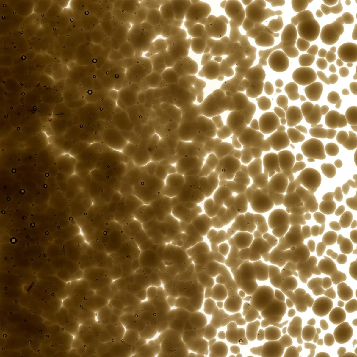 Dark Rose Brown Transparent, Medium Frit, Fusible