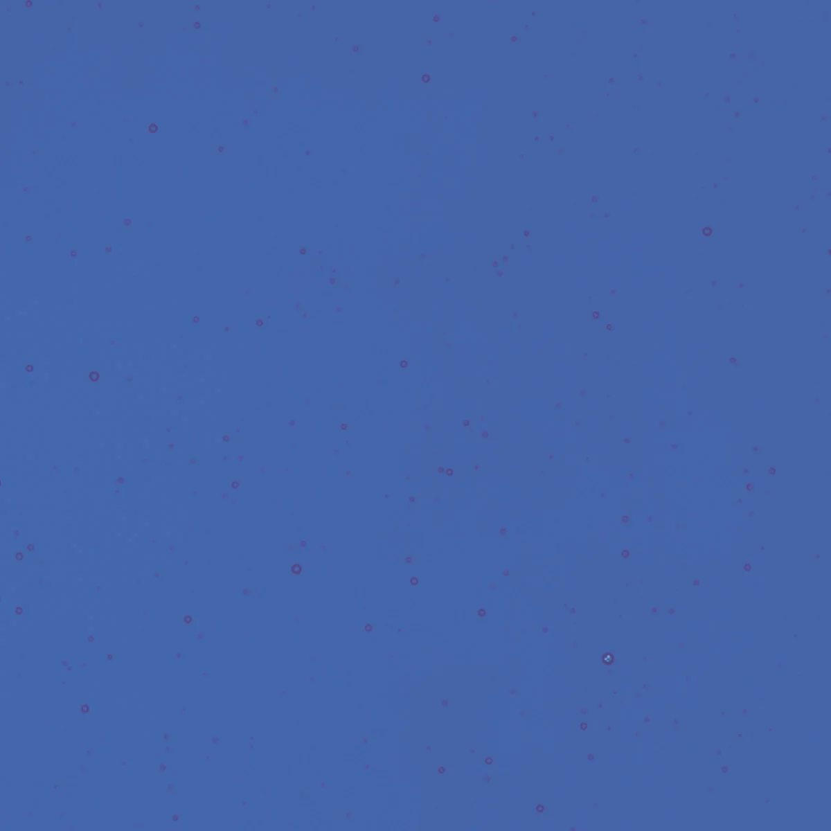 Deep Royal Blue Transparent, Thin-rolled, 2 mm, Fusible