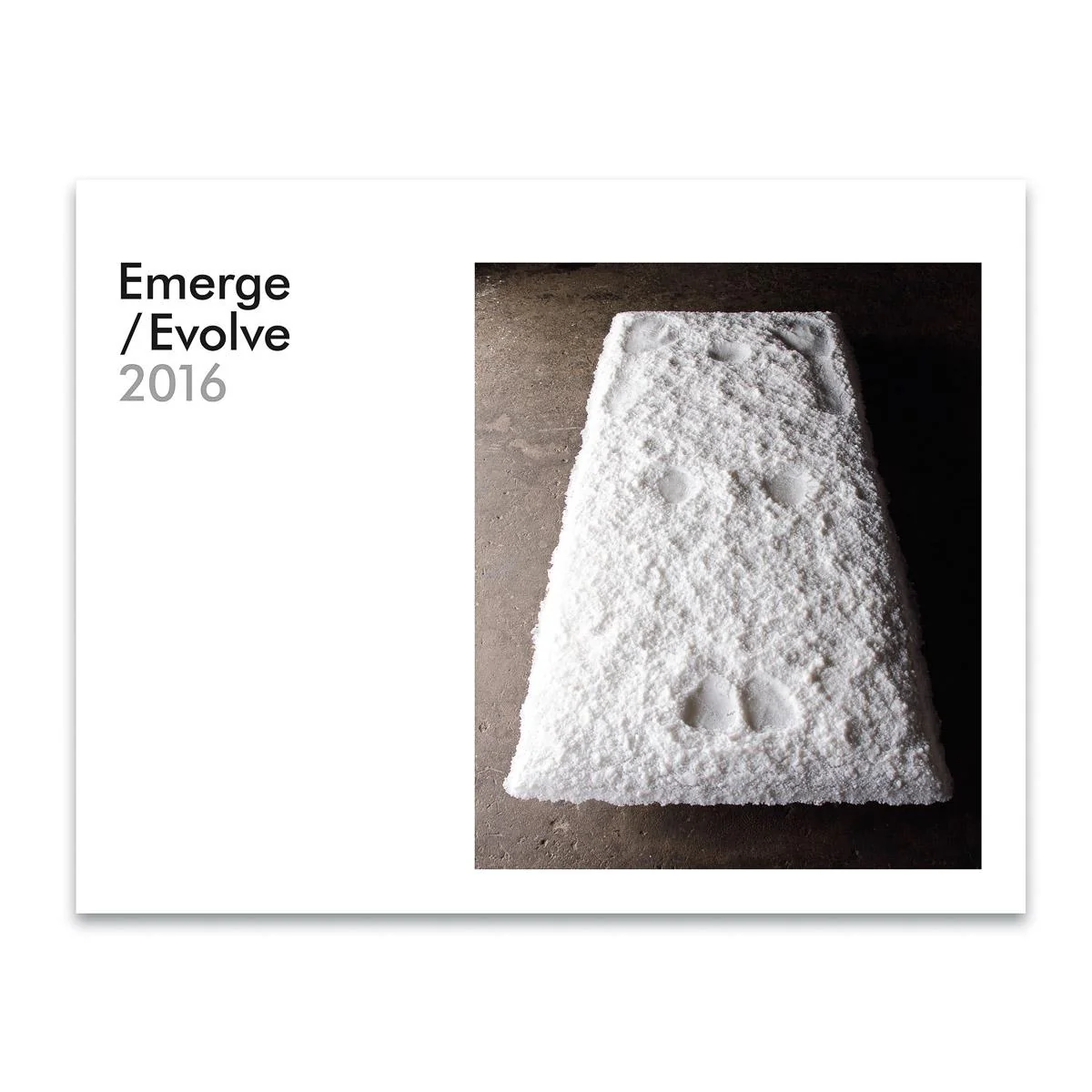 Emerge/Evolve 2016: A Showcase of Rising and Evolving Talents in. Kiln-Glass