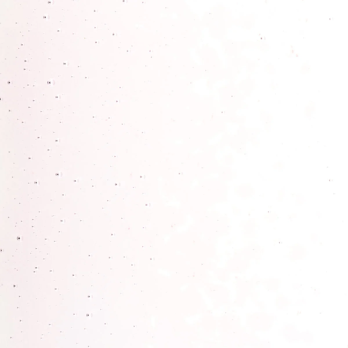 Erbium Pink Tint, Medium Frit, Fusible - Image 2