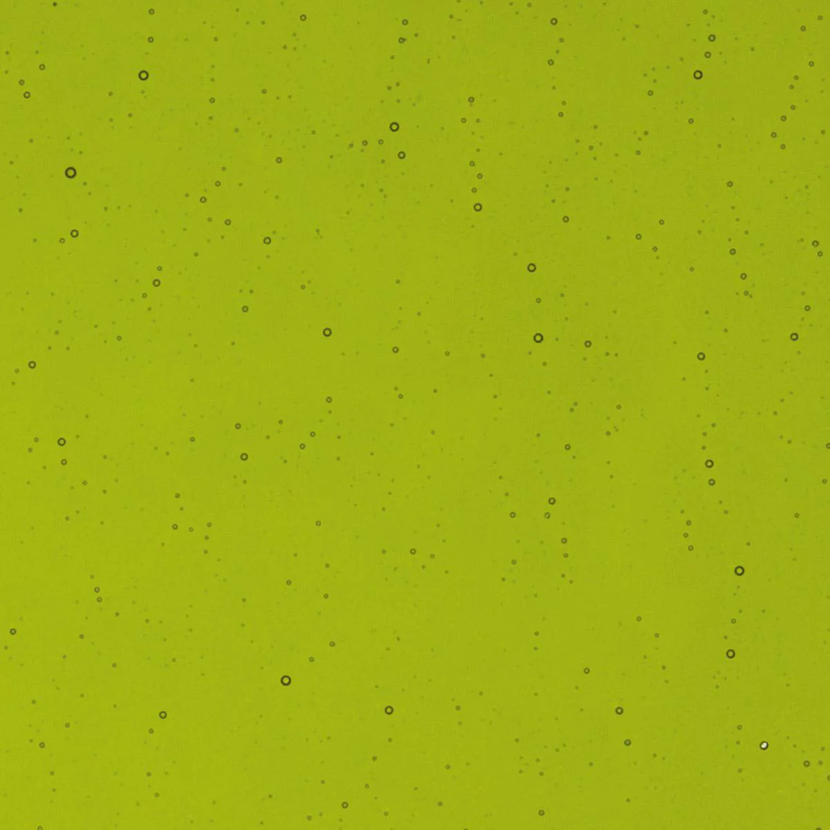 Fern Green Transparent, Double-rolled, 3 mm, Fusible