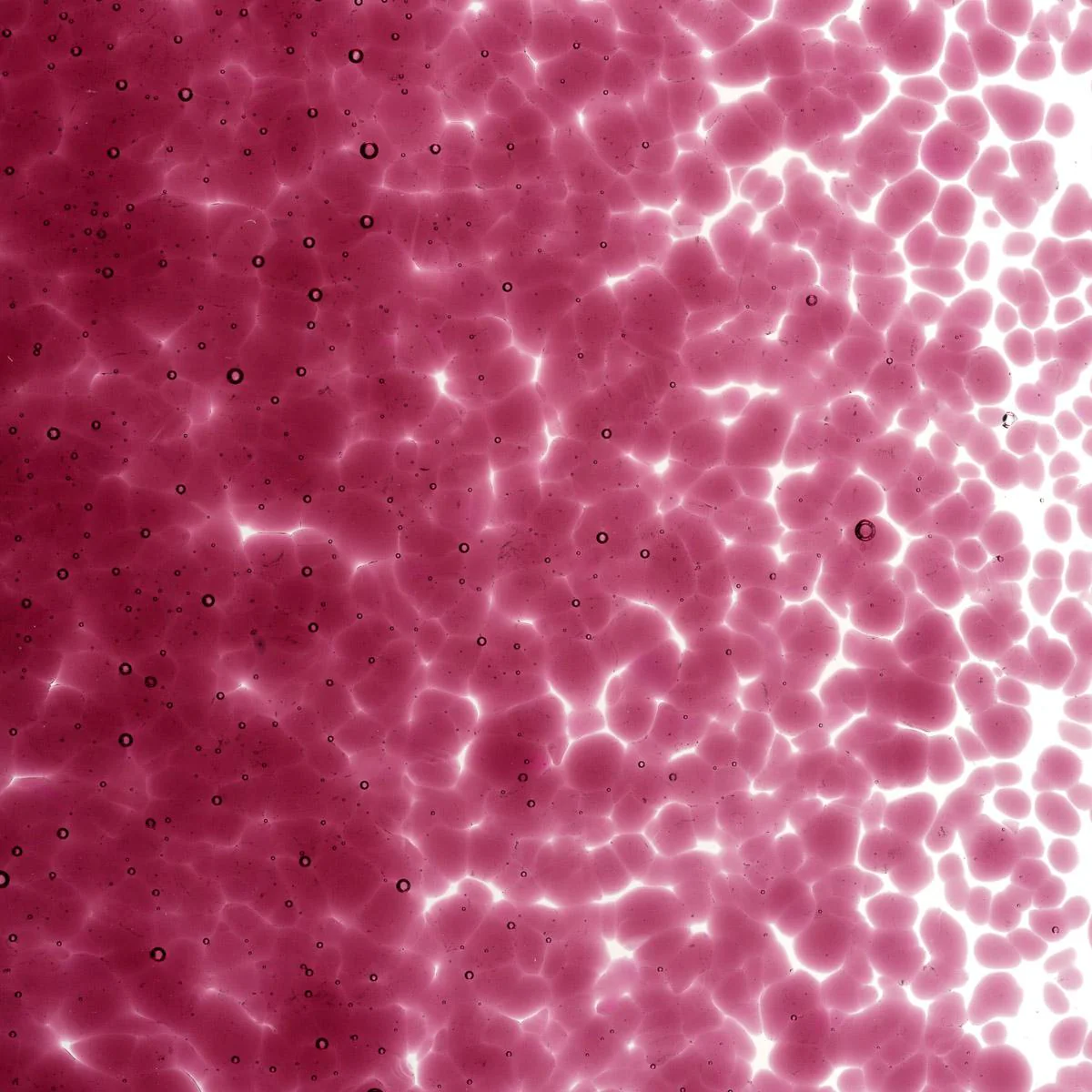 Fuchsia Transparent, Medium Frit, Fusible