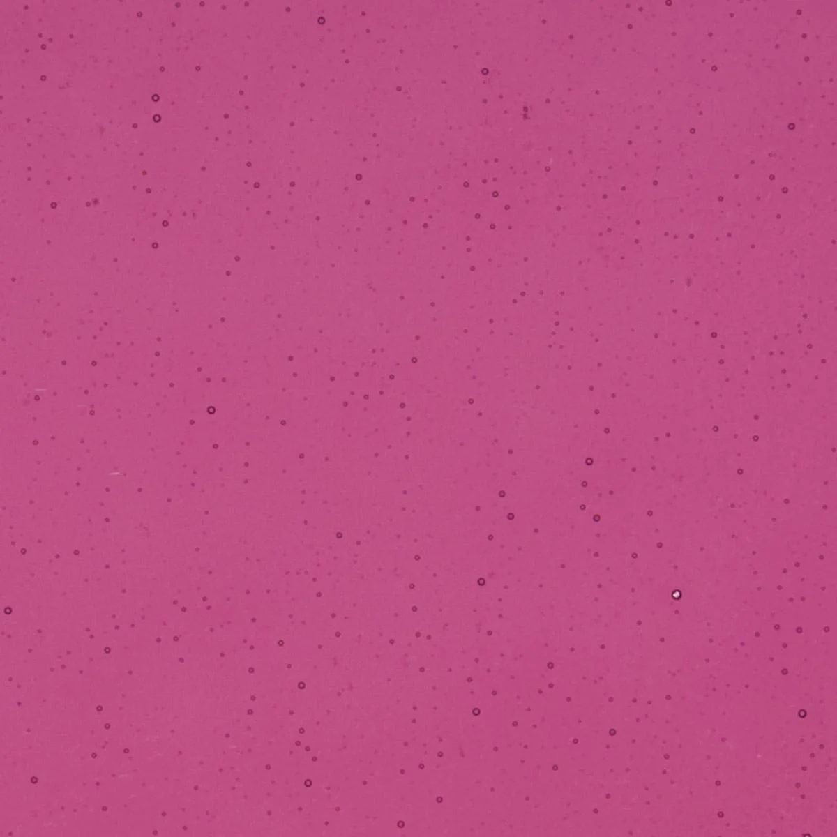 Fuchsia Transparent, Thin-rolled, 2 mm, Fusible