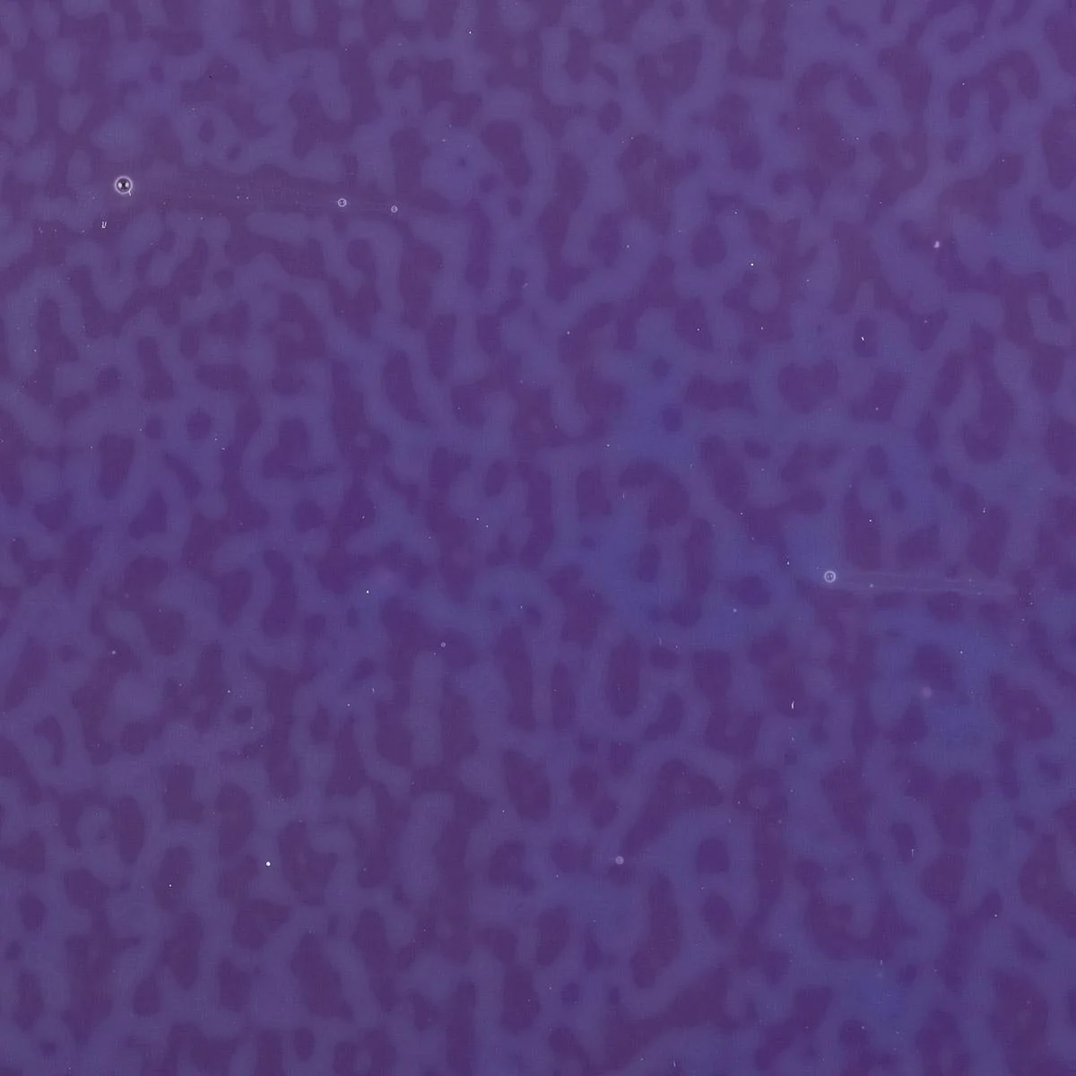 Gold Purple Opalescent, Thin-rolled, 2 mm, Fusible