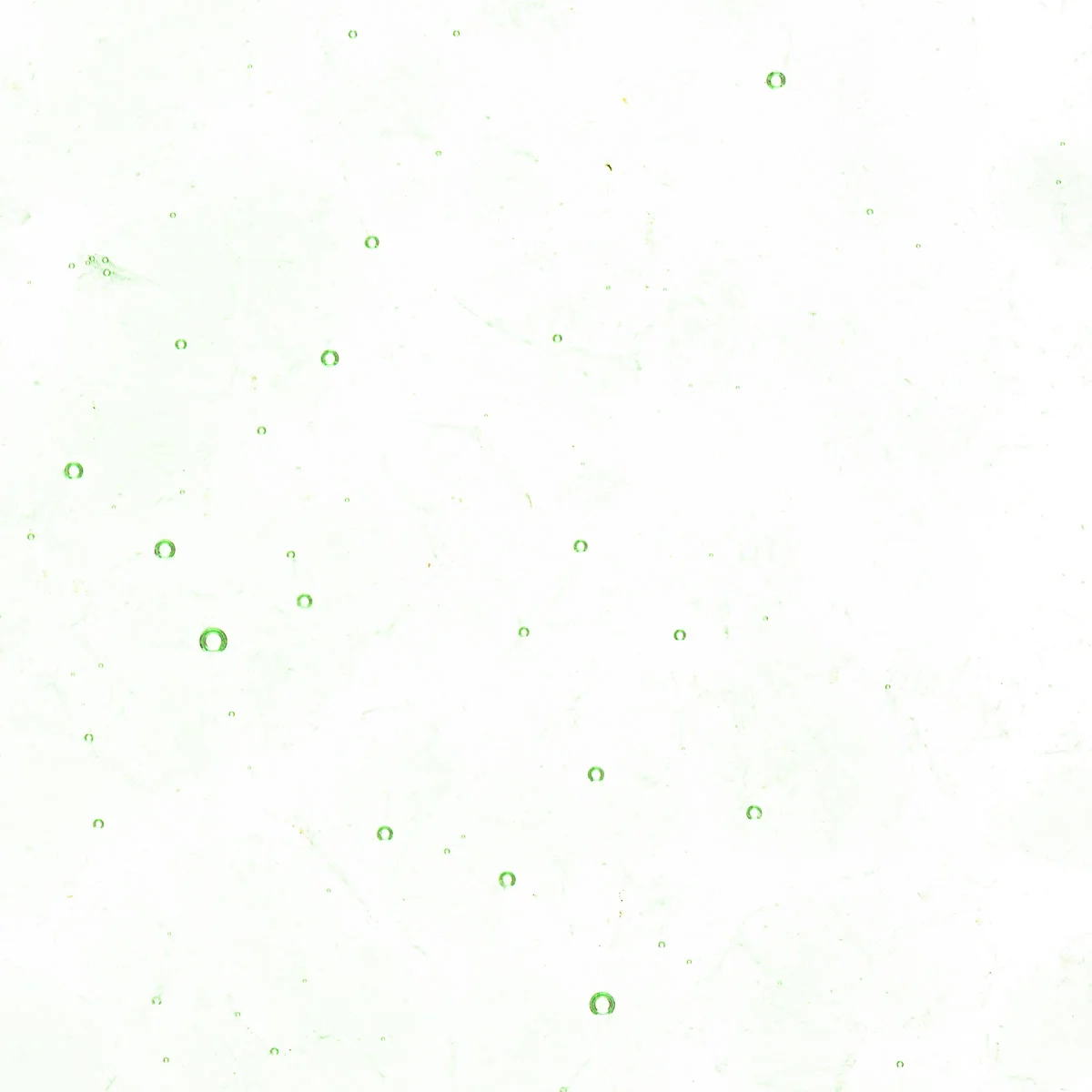 Grass Green Tint, Coarse Frit, Fusible - Image 2