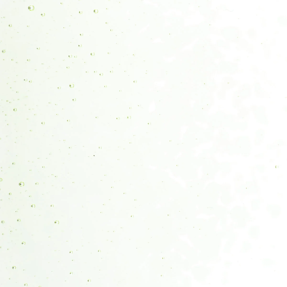 Grass Green Tint, Medium Frit, Fusible - Image 2