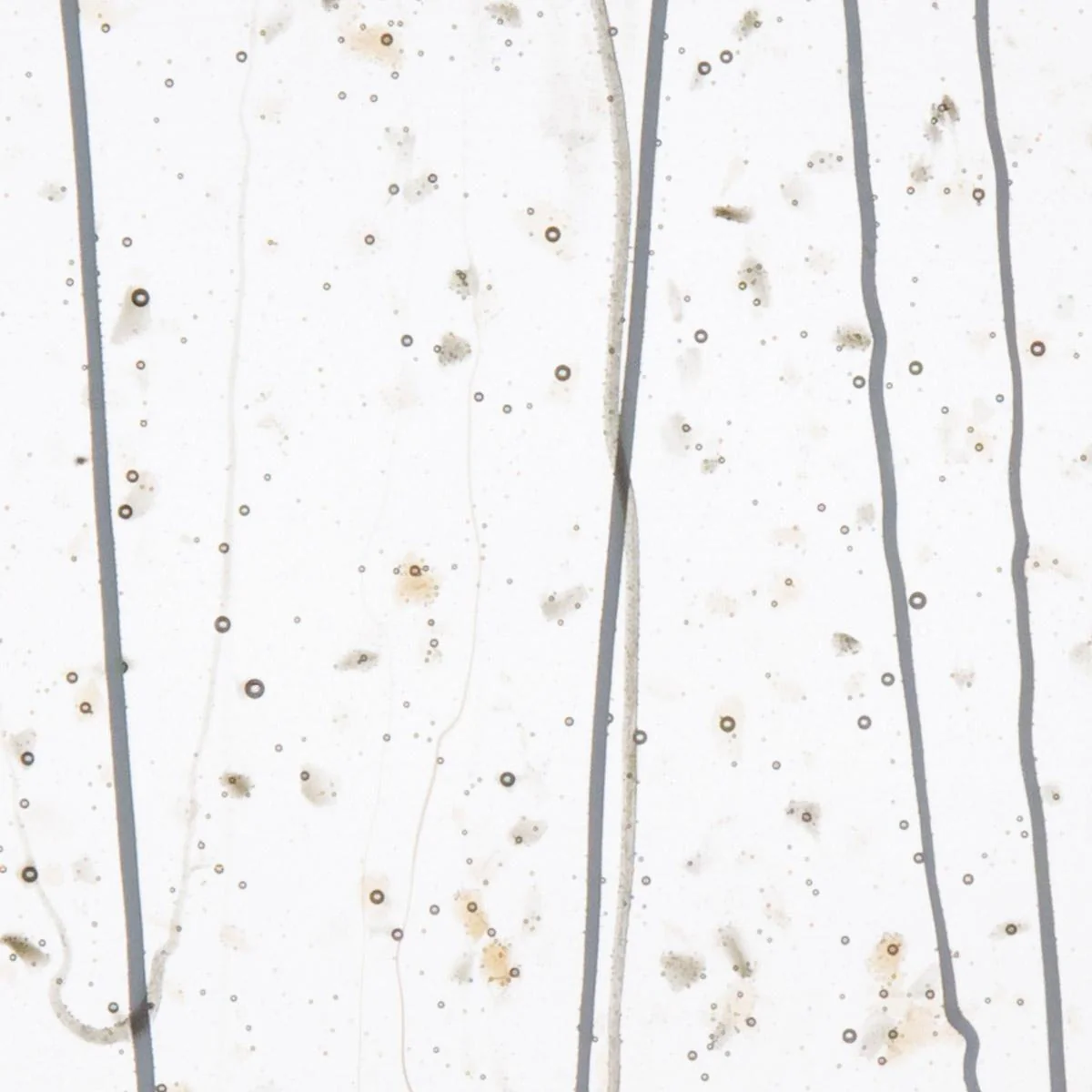 Gray and Bronze Frit, Gray and Vanilla Streamers Clear Base Collage, Single-rolled, 3 mm, Color Sample, 2 x 2 in.