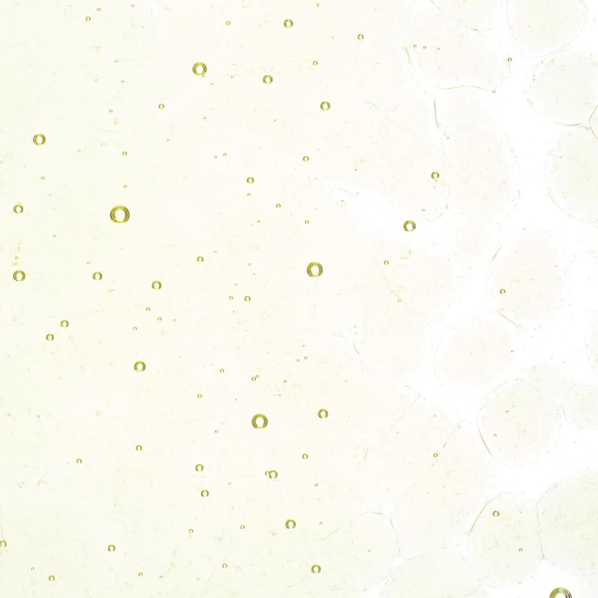 Green Tea Tint, Coarse Frit, Fusible - Image 2