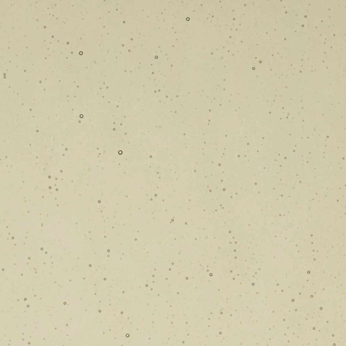 Khaki Transparent, Thin-rolled, 2 mm, Color Sample, 2 x 2 in.