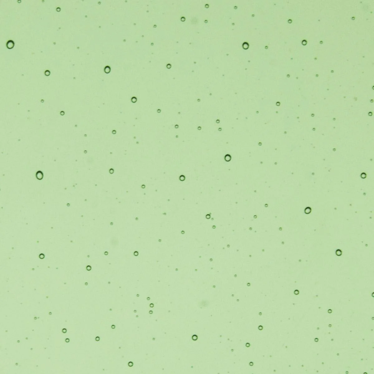 Leaf Green Transparent, Double-rolled, 3 mm, Fusible
