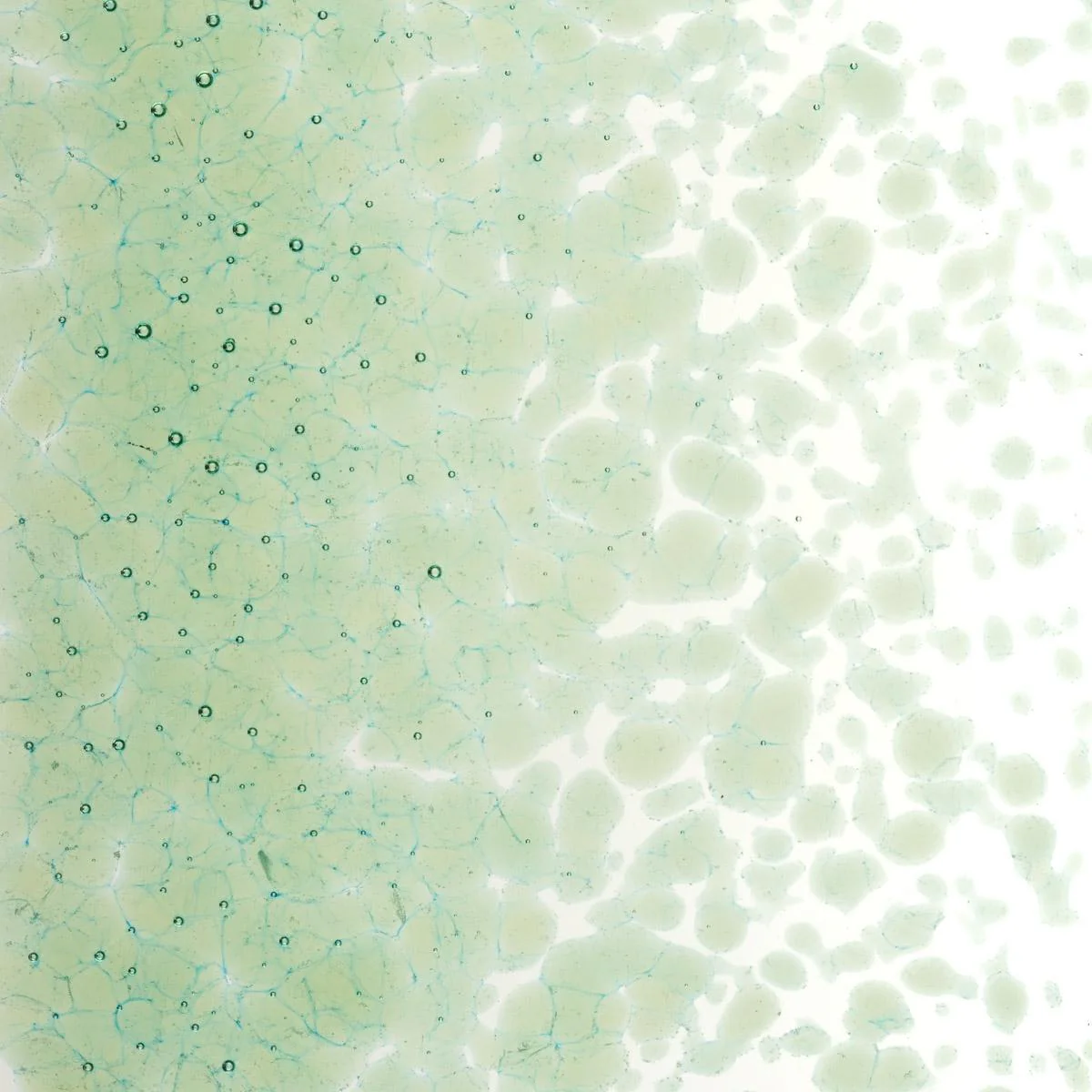 Leaf Green Transparent, Medium Frit, Fusible