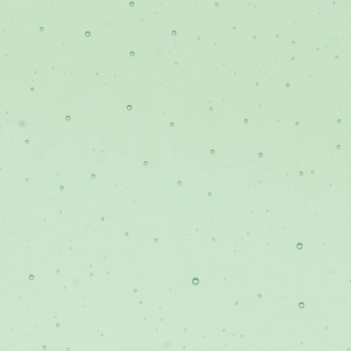 Leaf Green Transparent, Thin-rolled, 2 mm, Color Sample, 2x2 in.