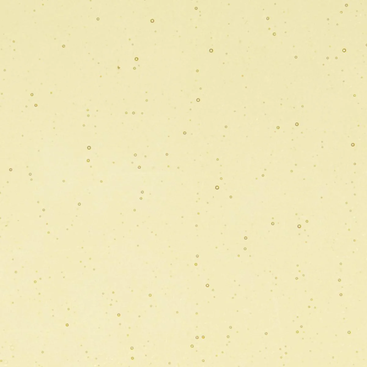 Light Amber Transparent, Double-rolled, 3 mm, Color Sample, 2 x 2 in.