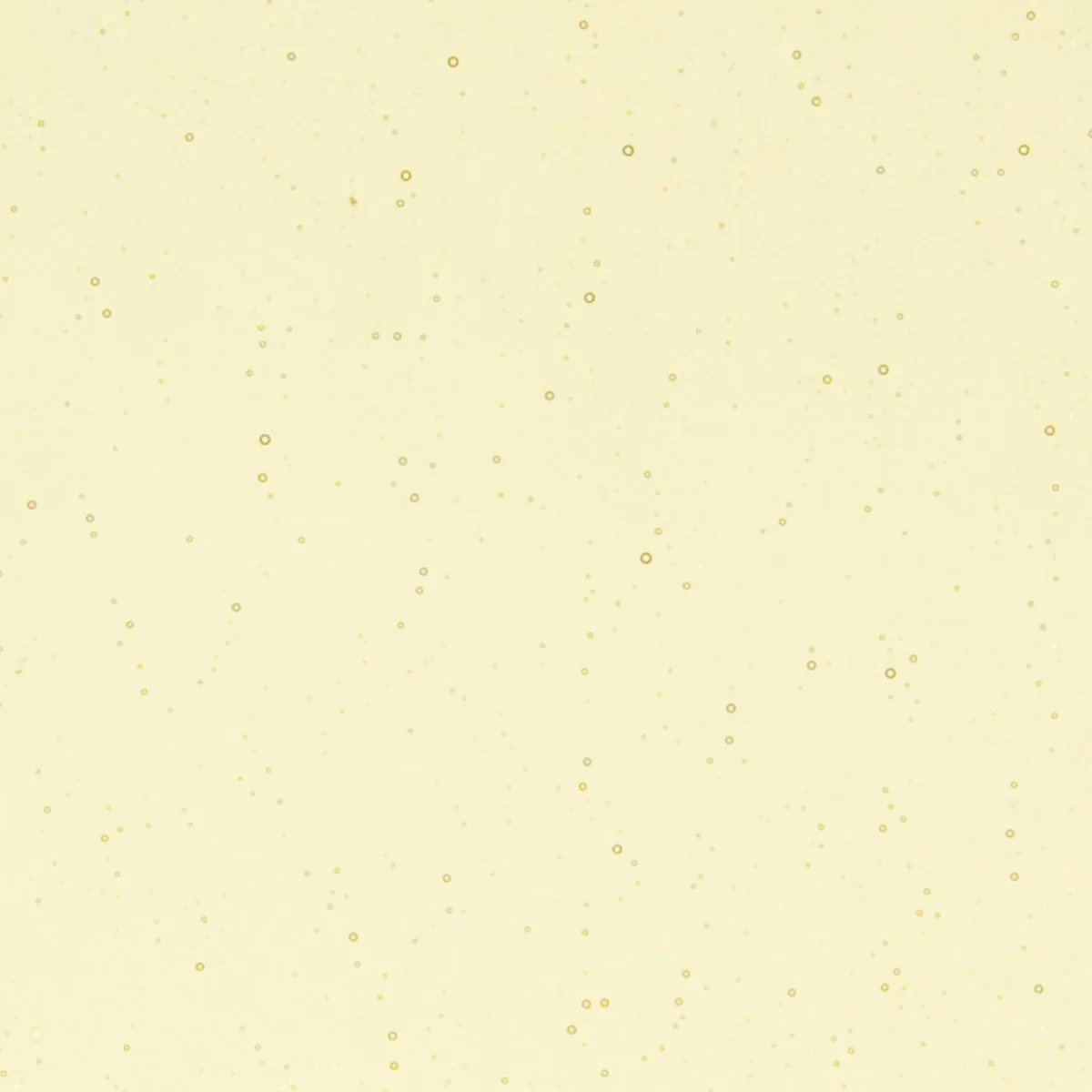 Light Amber Transparent, Thin-rolled, 2 mm, Color Sample, 2 x 2 in.
