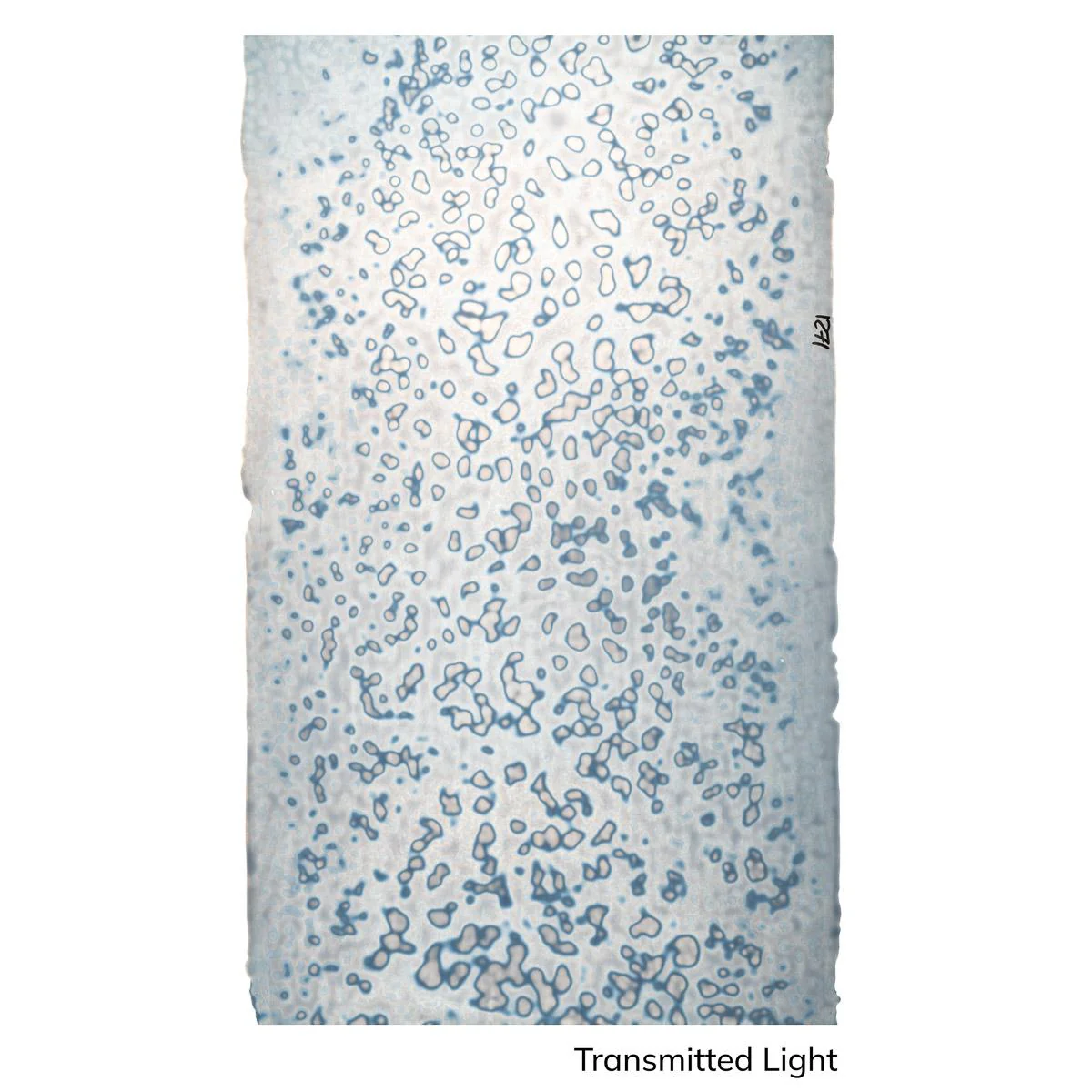 Light Gray-Blue, Mottle Mottle Opalescent, Single-rolled, 3 mm, Non-Fusible - Image 3