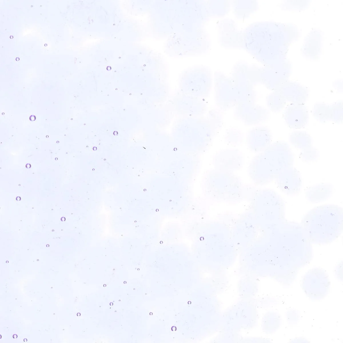 Light Neo-Lavender Shift Tint, Coarse Frit, Fusible - Image 2