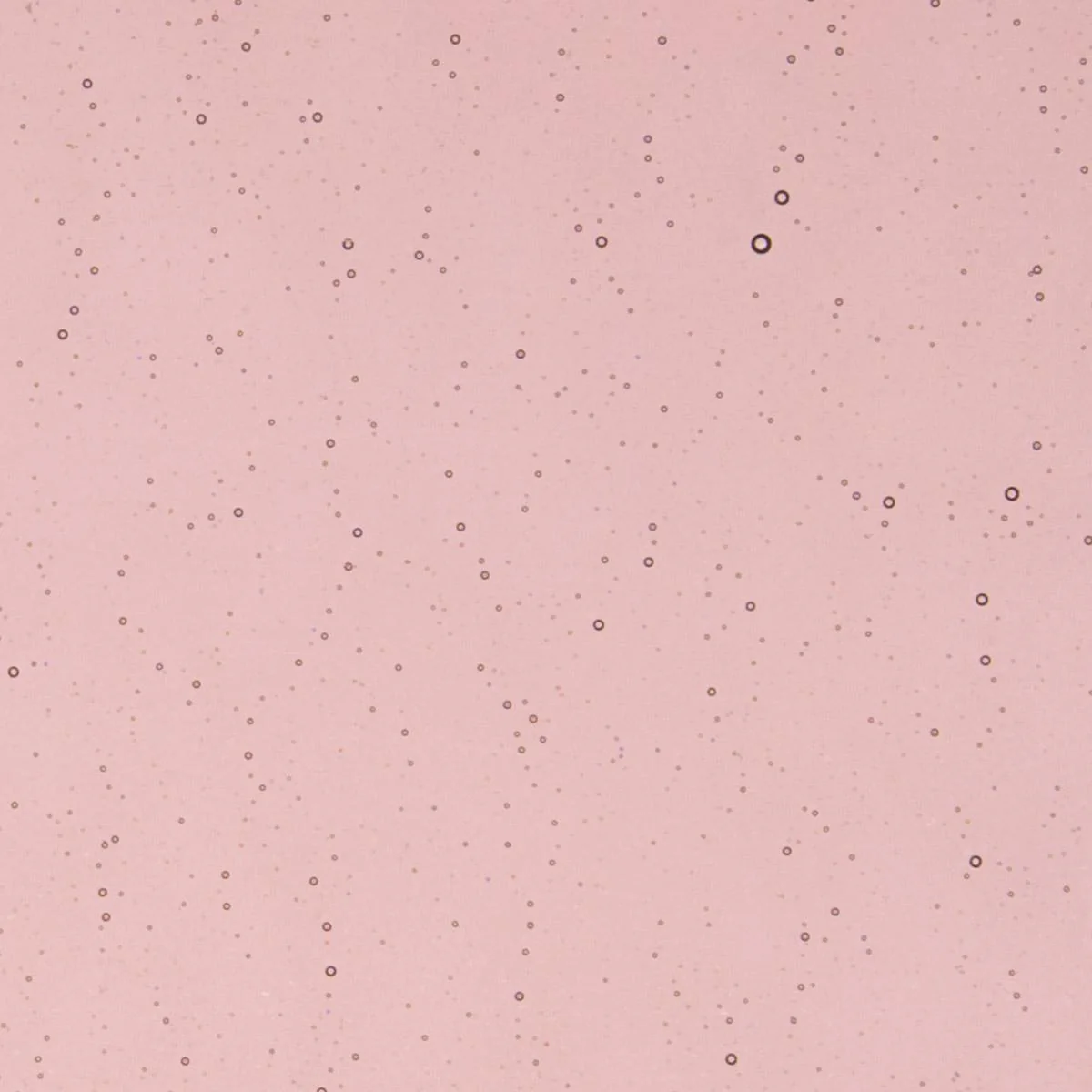 Light Plum Transparent, Double-rolled, 3 mm, Color Sample, 2 x 2 in.