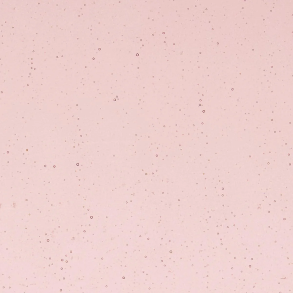 Light Plum Transparent, Thin-rolled, 2 mm, Color Sample, 2 x 2 in.