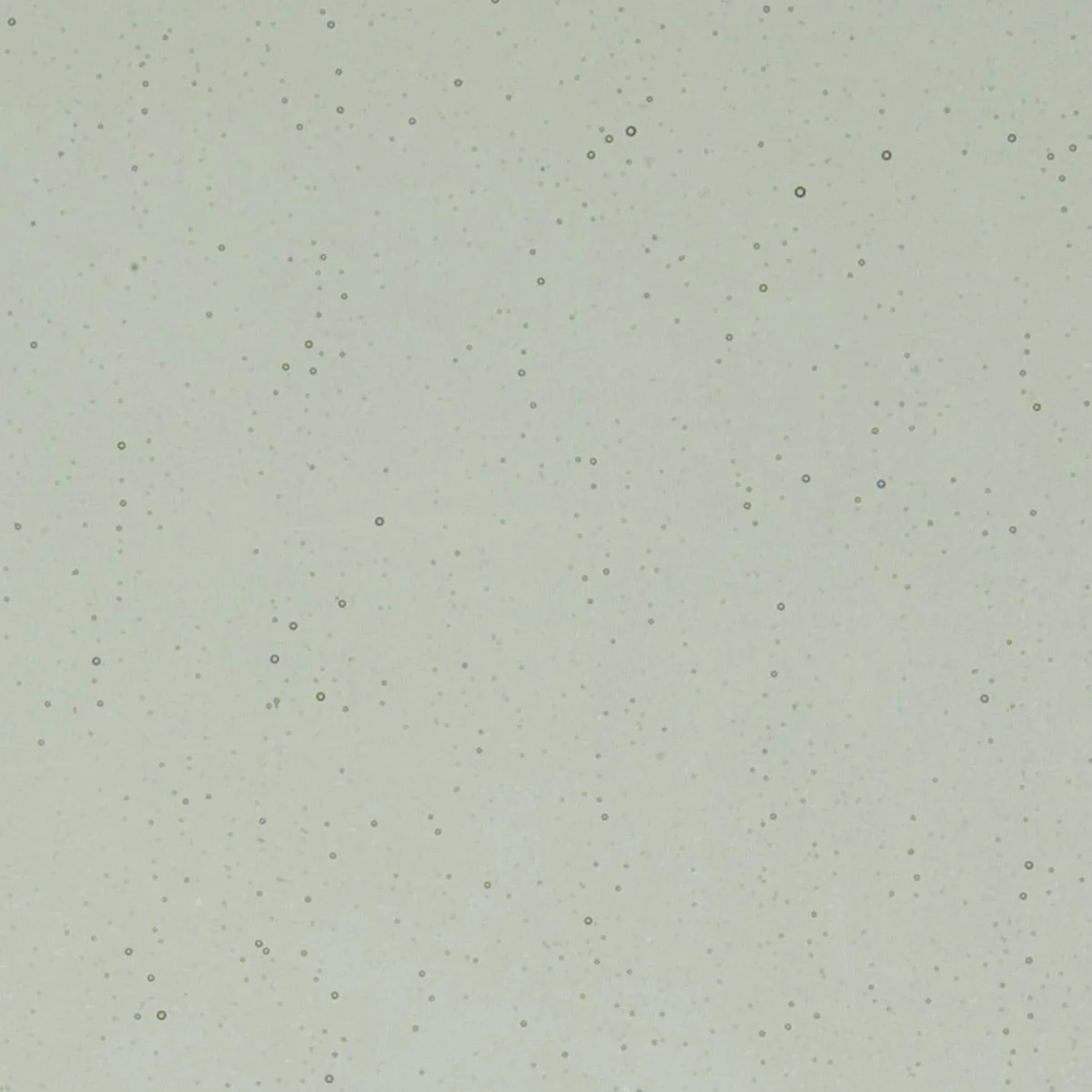 Light Silver Gray Transparent, Double-rolled, 3 mm, Fusible