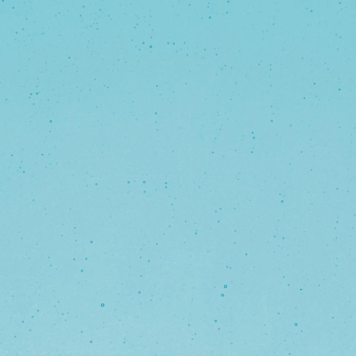 Light Turquoise Blue Transparent, Double-rolled, 3 mm, Fusible