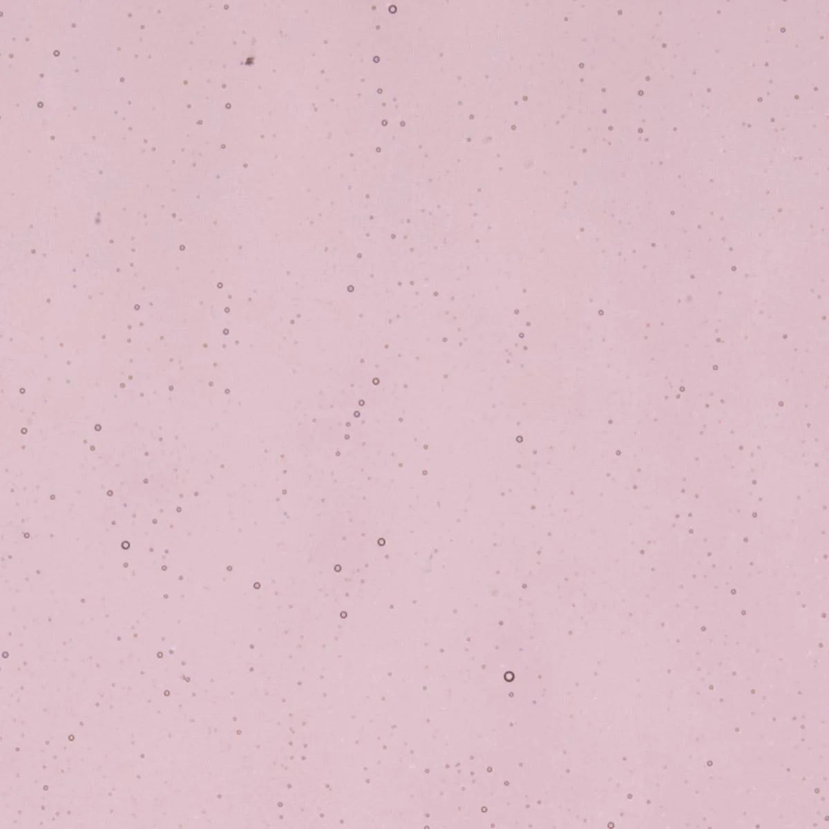 Light Violet Transparent, Thin-rolled, 2 mm, Fusible
