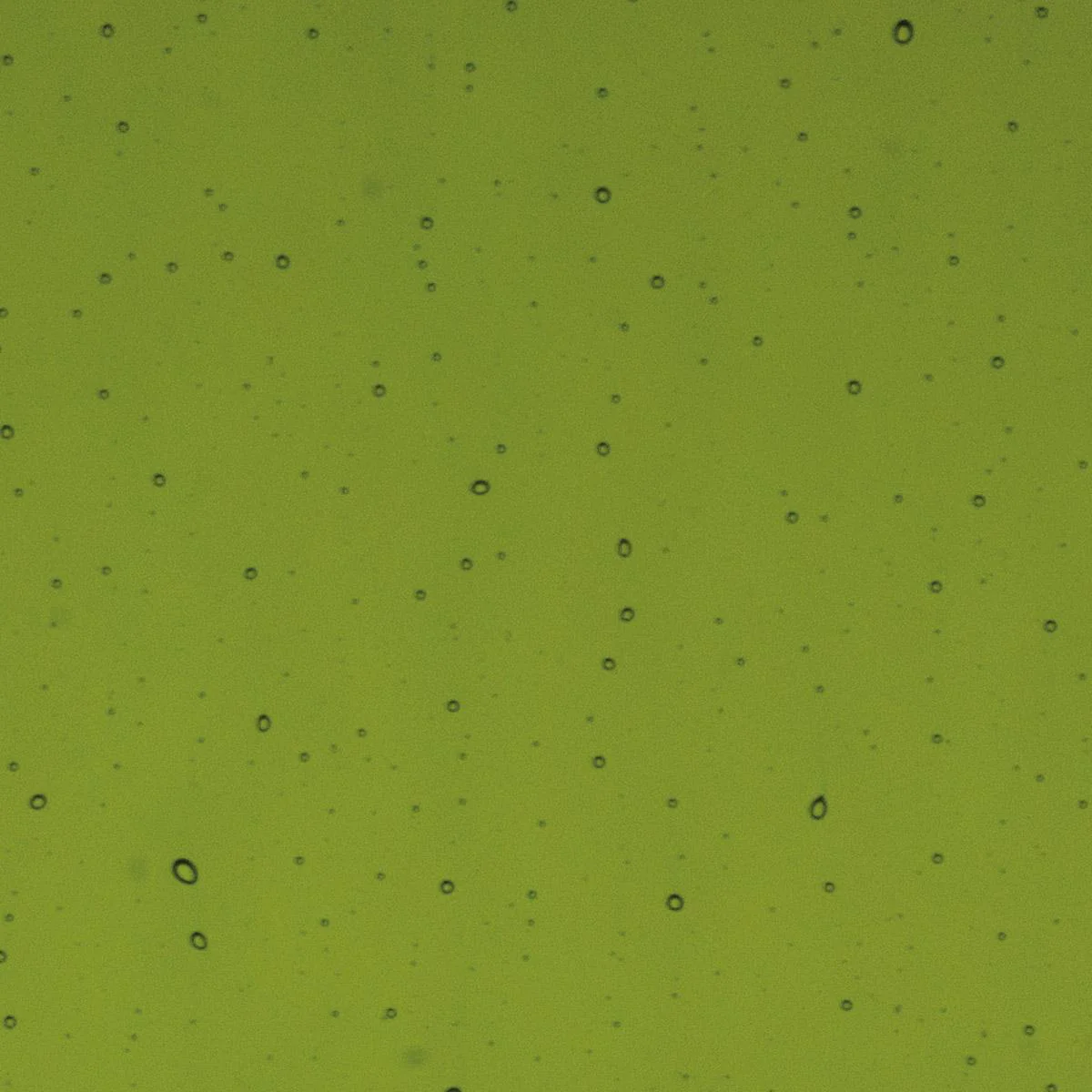 Lily Pad Green Transparent, Double-rolled, 3 mm, Fusible