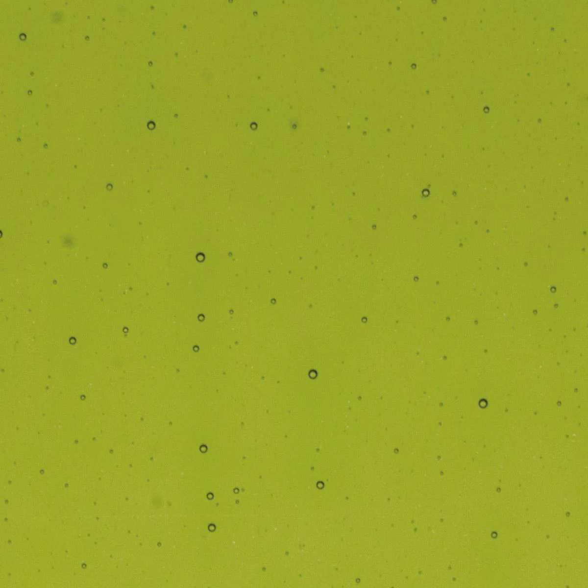 Lily Pad Green transparent, Thin-rolled, 2 mm, Color Sample, 2x2 in.