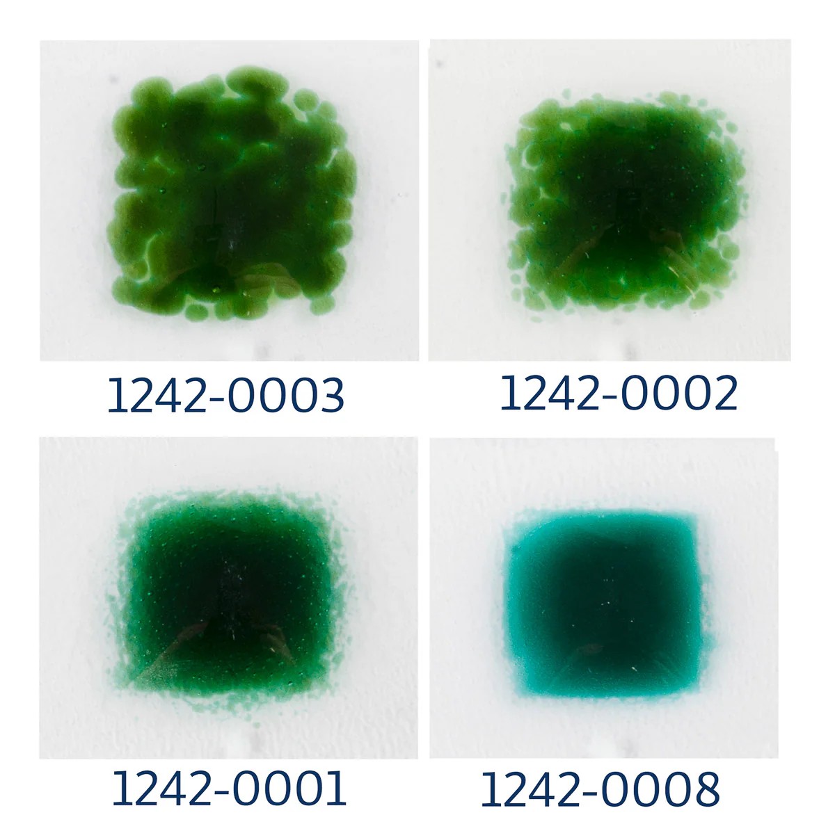Medieval Green Transparent, Powder Frit, Fusible - Image 2