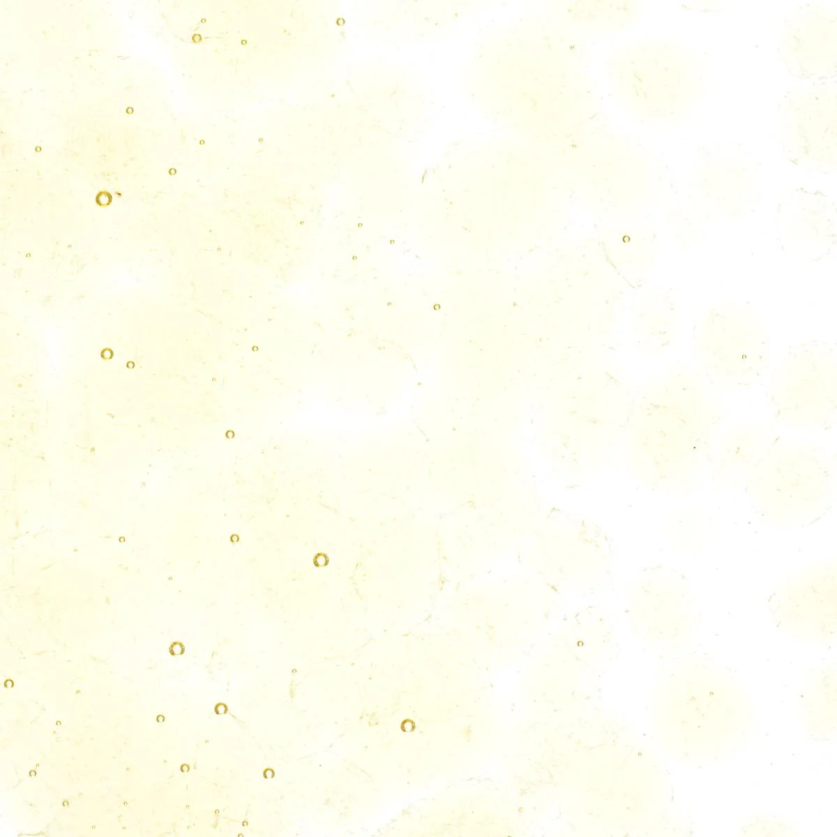 Medium Amber Tint, Coarse Frit, Fusible - Image 2