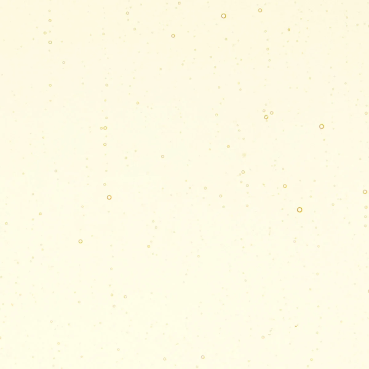 Medium Amber Tint, Double-rolled, 3 mm, Fusible