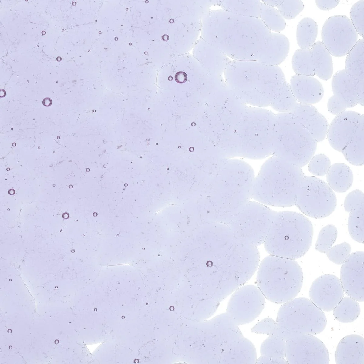 Neo-Lavender Shift Transparent, Coarse Frit, Fusible