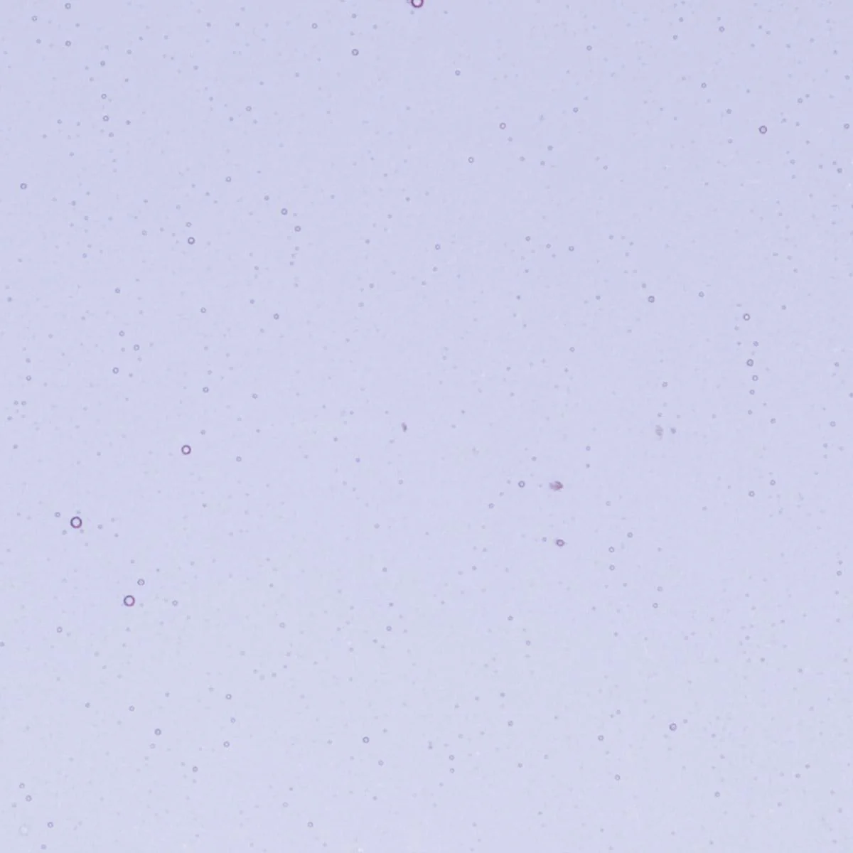 Neo-Lavender Shift Transparent, Thin-rolled, 2 mm, Fusible