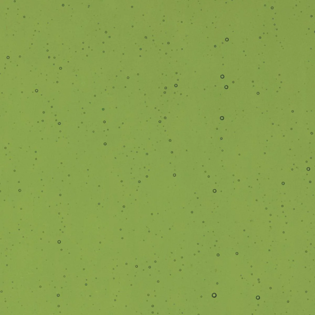 Olive Green Transparent, Double-rolled, 3 mm, Fusible