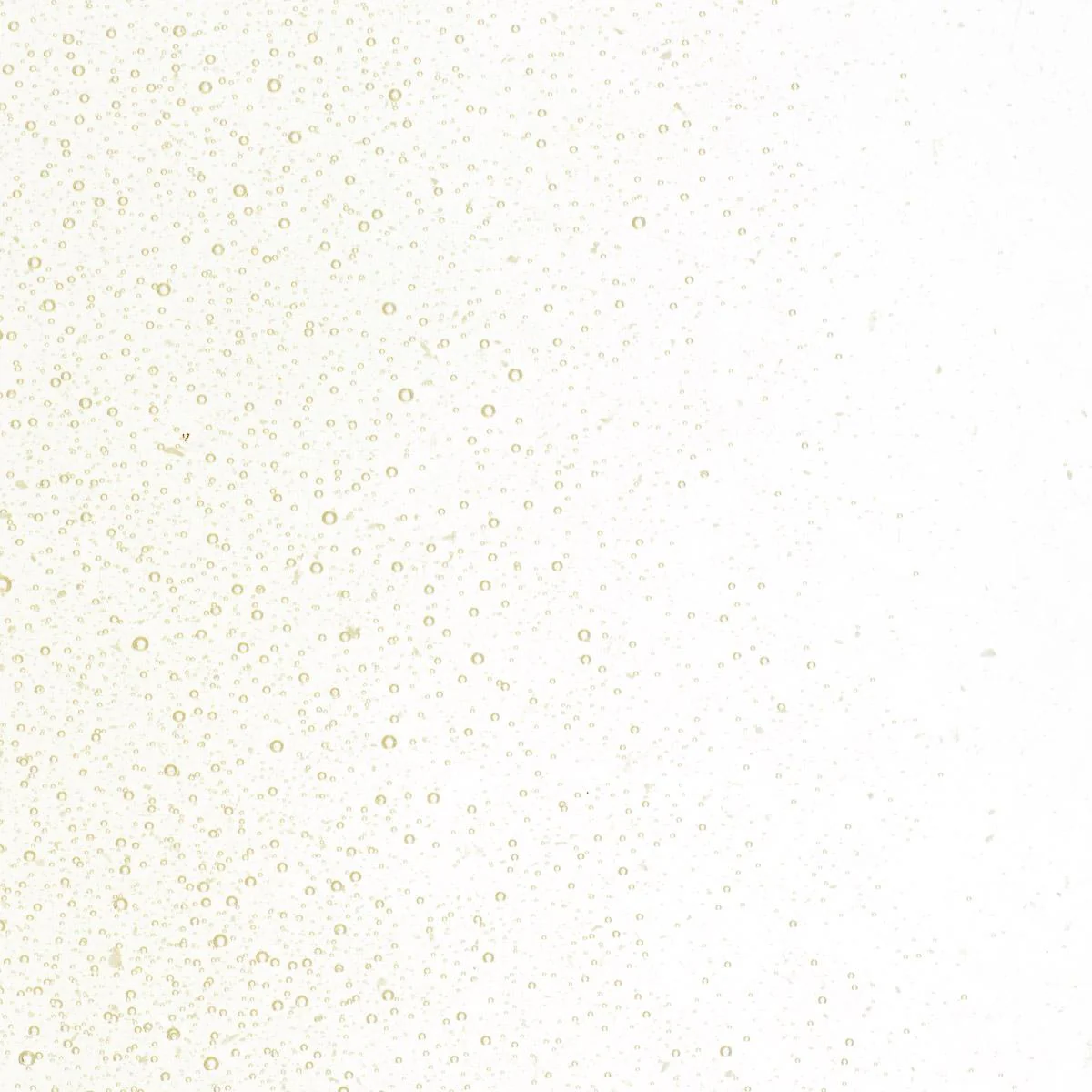 Olive Smoke Tint, Fine Frit, Fusible - Image 2