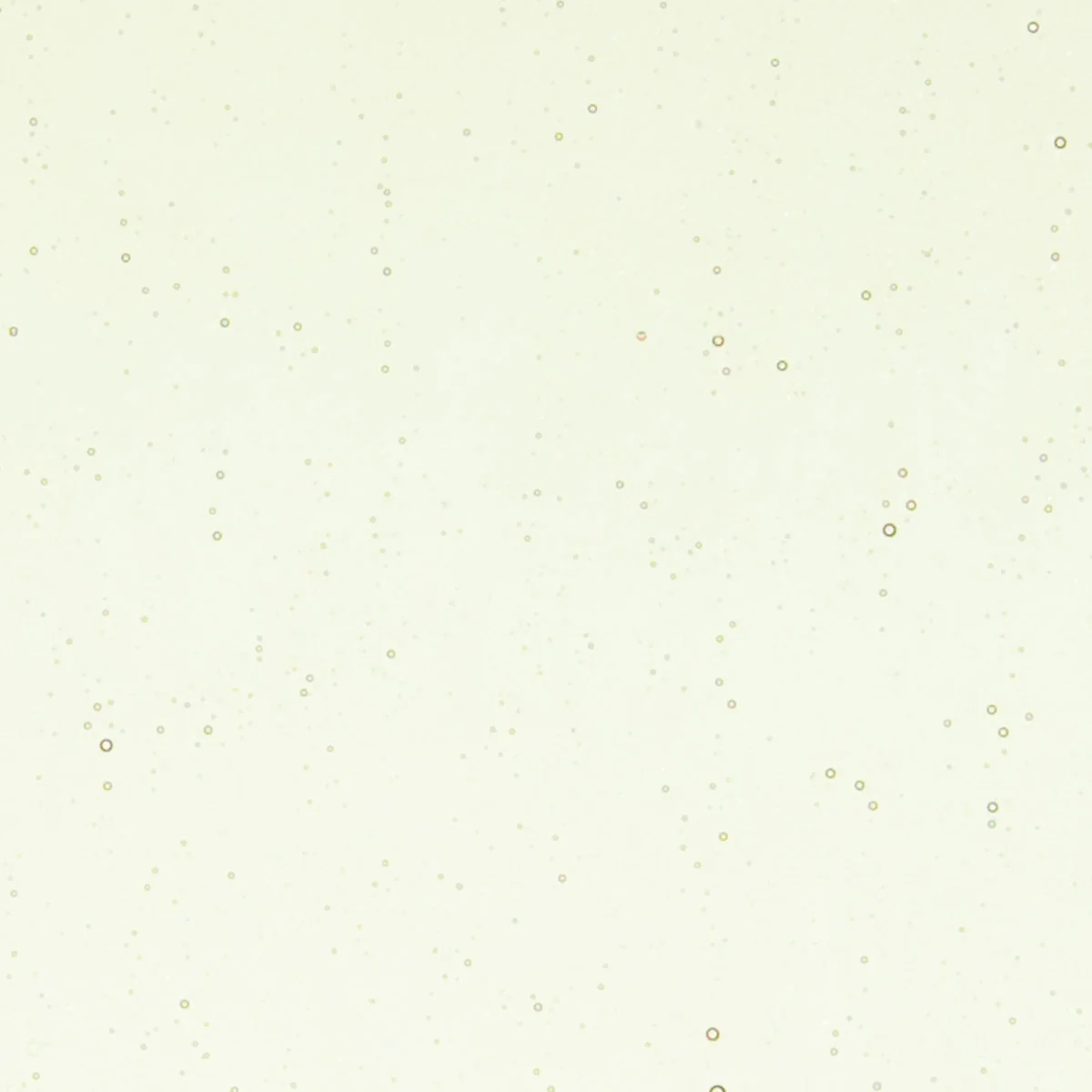 Olivine Tint, Double-rolled, 3 mm, Fusible