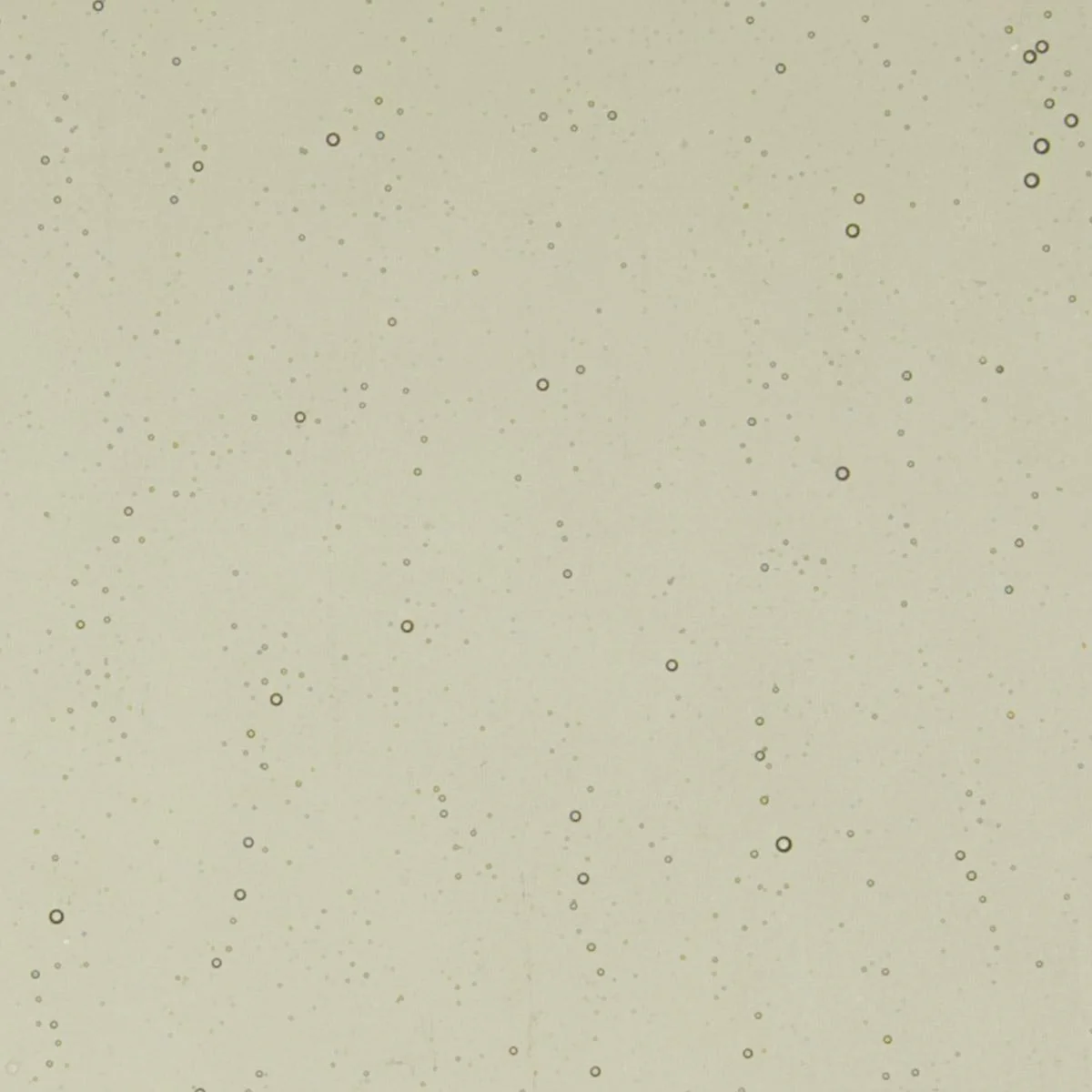Oregon Gray Transparent, Thin-rolled, 2 mm, Color Sample, 2 x 2 in.