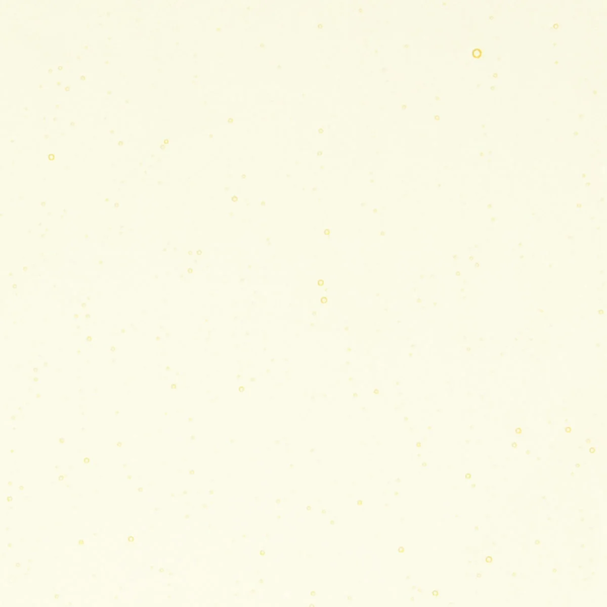 Pale Yellow Tint, Double-rolled, 3 mm, Fusible