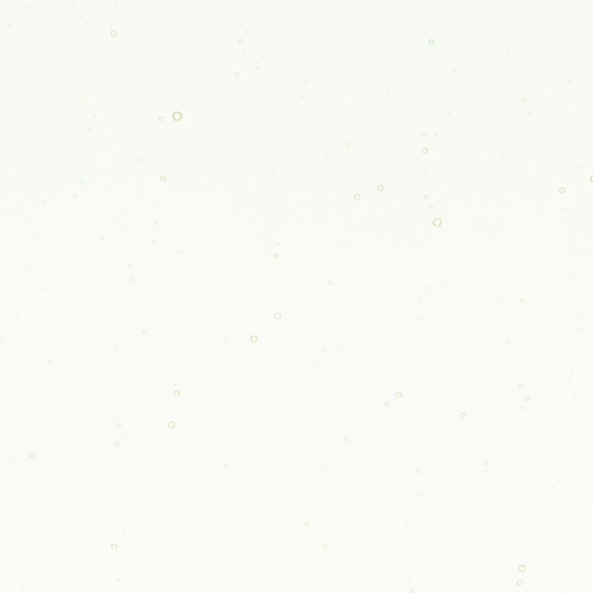 Pine Green Tint, Double-rolled, 3 mm, Color Sample, 2 x 2 in.