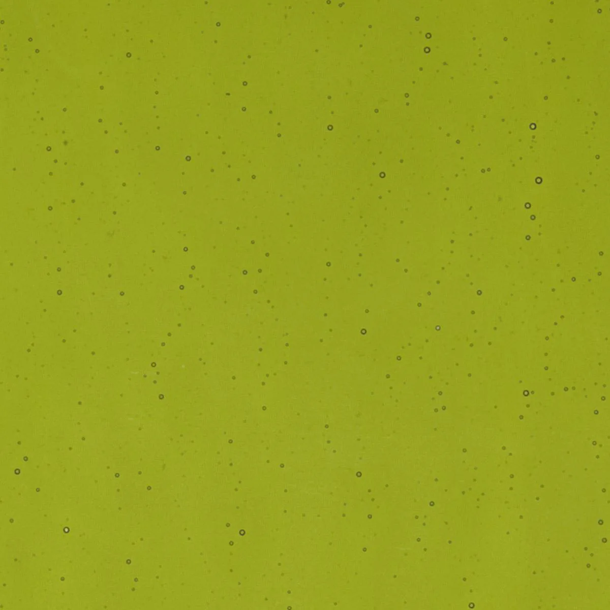 Pine Green Transparent, Double-rolled, 3 mm, Fusible