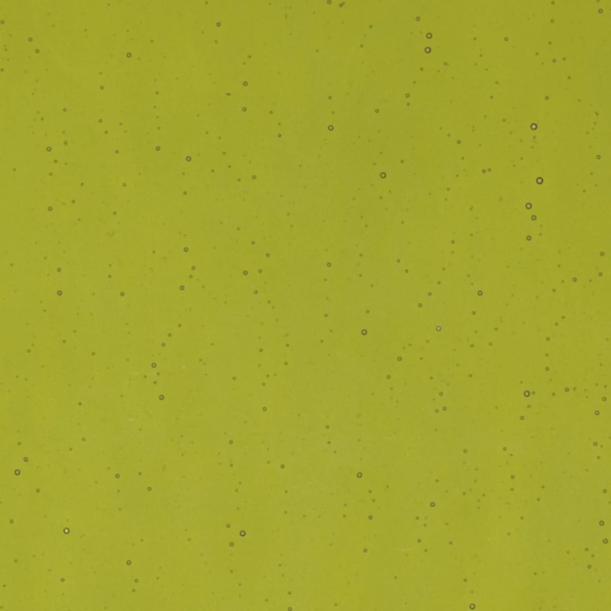 Pine Green Transparent, Thin-rolled, 2 mm, Fusible
